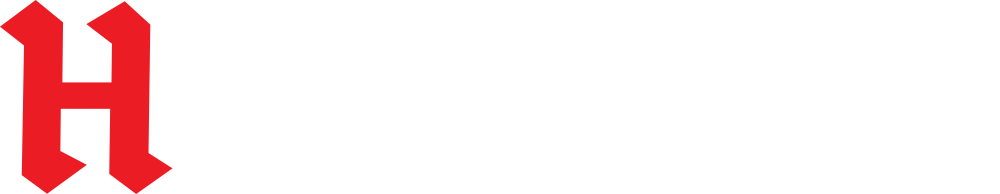 Havadis Logo